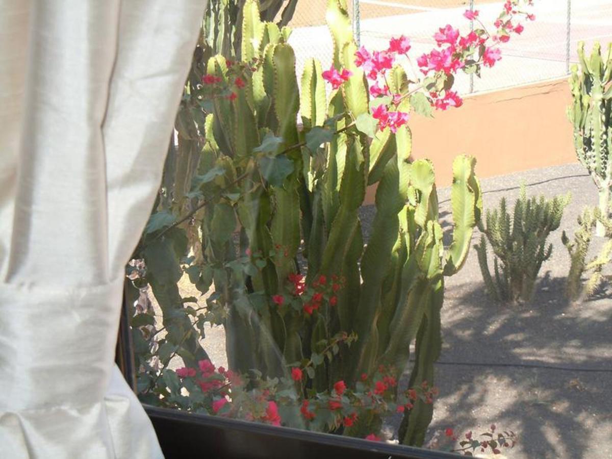 Family Apartment 1 Bedroom With Pool View 2 - Oasis Duna Resort Corralejo Exterior foto